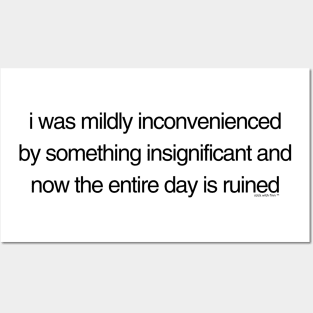 I was mildly inconvenienced Posters and Art